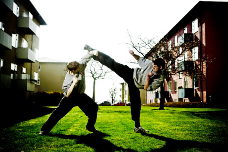 Dai Ki Haku Martial Art
