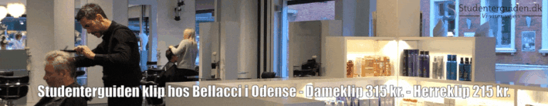 Bellacci Frizisto