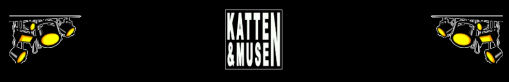 Katten og Musen