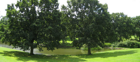 Universitetsparken