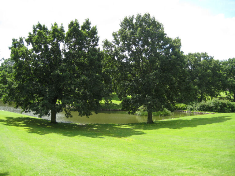 Universitetsparken
