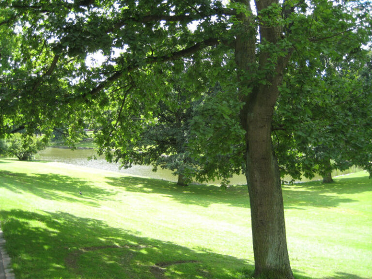 Universitetsparken