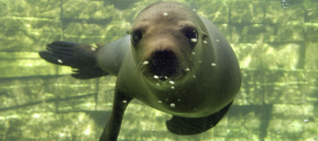 København Zoo